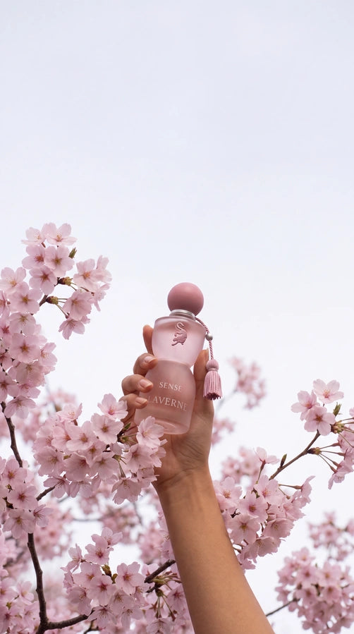 SENSE 75ML - سينس